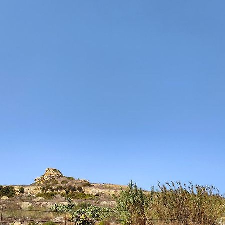 Seaview Apartment Zebbug  المظهر الخارجي الصورة